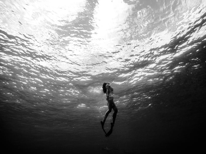 Diving Fins